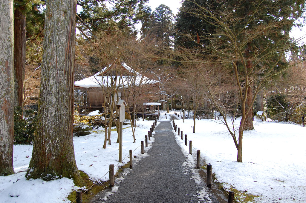 f:id:ReMIST:20191008142207j:plain f:id:ReMIST:20191008142207j:plain