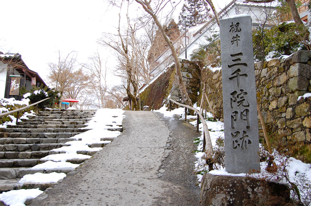 f:id:ReMIST:20191008150310j:plain f:id:ReMIST:20191008150310j:plain