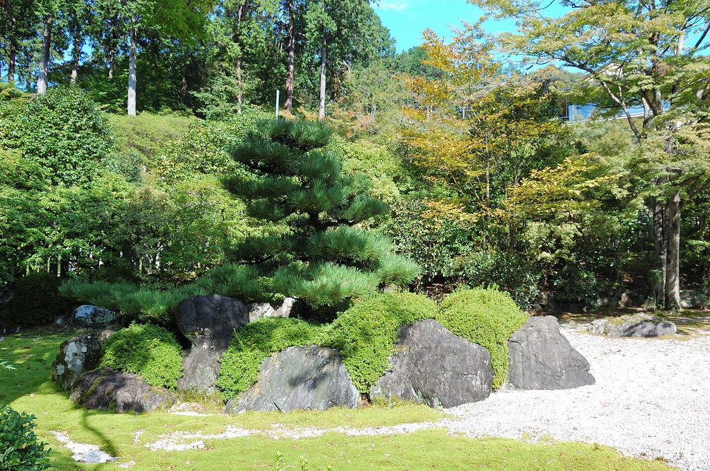 f:id:ReMIST:20191019193917j:plain f:id:ReMIST:20191019193917j:plain