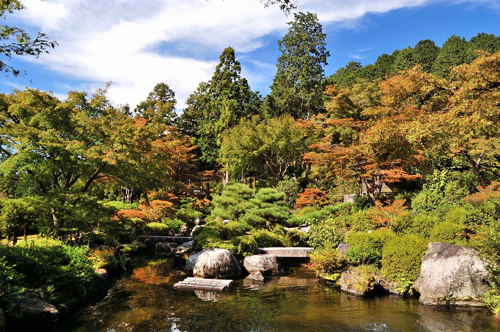 f:id:ReMIST:20191019200129j:plain f:id:ReMIST:20191019200129j:plain