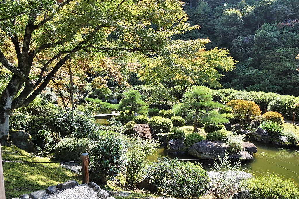 f:id:ReMIST:20191019201024j:plain f:id:ReMIST:20191019201024j:plain