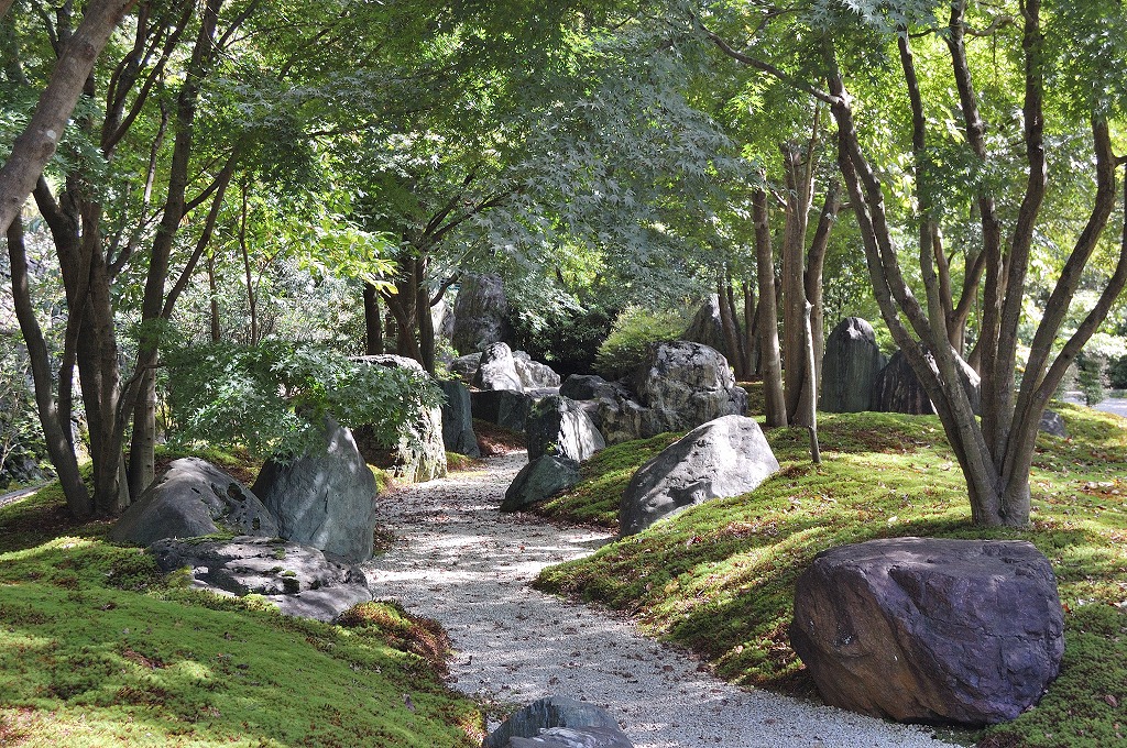 f:id:ReMIST:20191019211629j:plain f:id:ReMIST:20191019211629j:plain