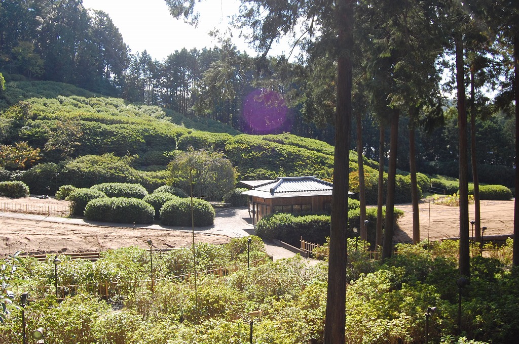 f:id:ReMIST:20191019213146j:plain f:id:ReMIST:20191019213146j:plain