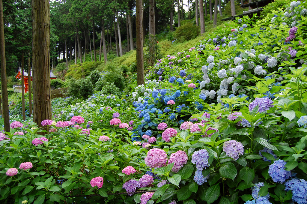 f:id:ReMIST:20191019213933j:plain f:id:ReMIST:20191019213933j:plain