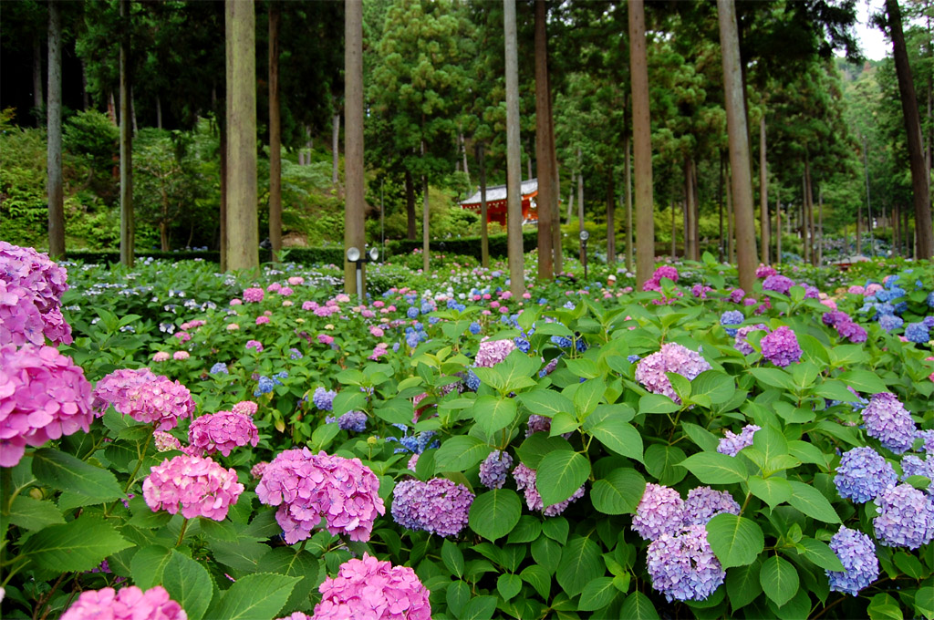 f:id:ReMIST:20191019214155j:plain f:id:ReMIST:20191019214155j:plain