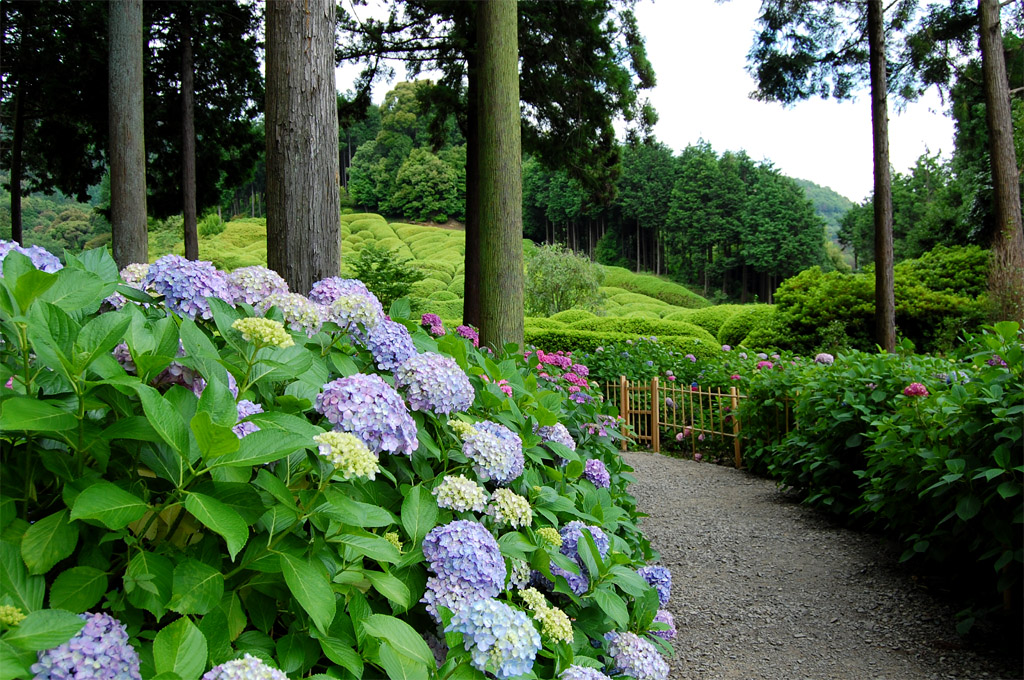 f:id:ReMIST:20191019214219j:plain f:id:ReMIST:20191019214219j:plain