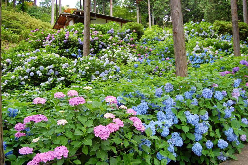 f:id:ReMIST:20191019214313j:plain f:id:ReMIST:20191019214313j:plain