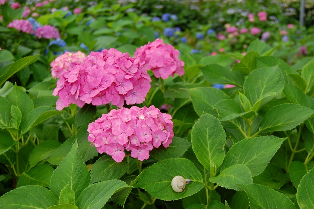 f:id:ReMIST:20191019214338j:plain f:id:ReMIST:20191019214338j:plain