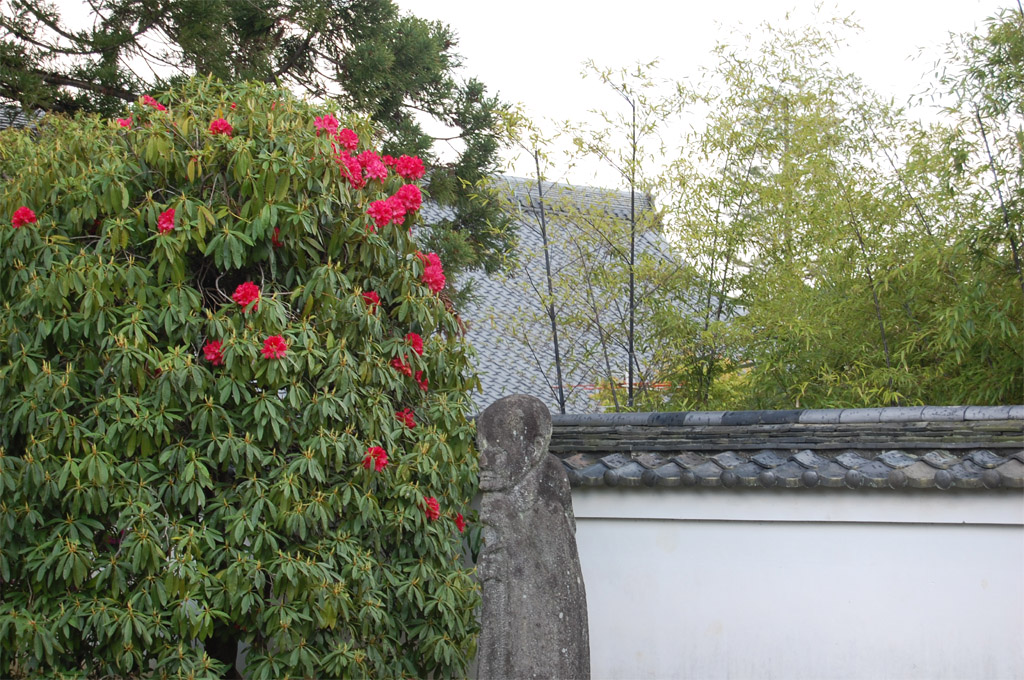 f:id:ReMIST:20191024152103j:plain f:id:ReMIST:20191024152103j:plain