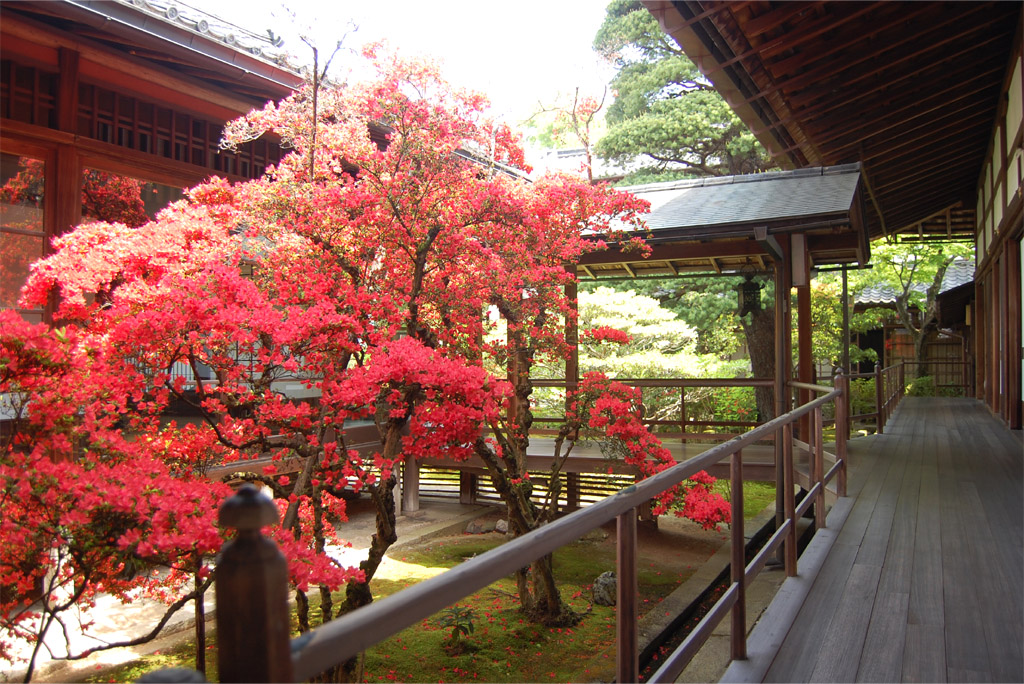 f:id:ReMIST:20191024162143j:plain f:id:ReMIST:20191024162143j:plain