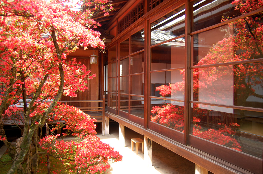 f:id:ReMIST:20191024162217j:plain f:id:ReMIST:20191024162217j:plain