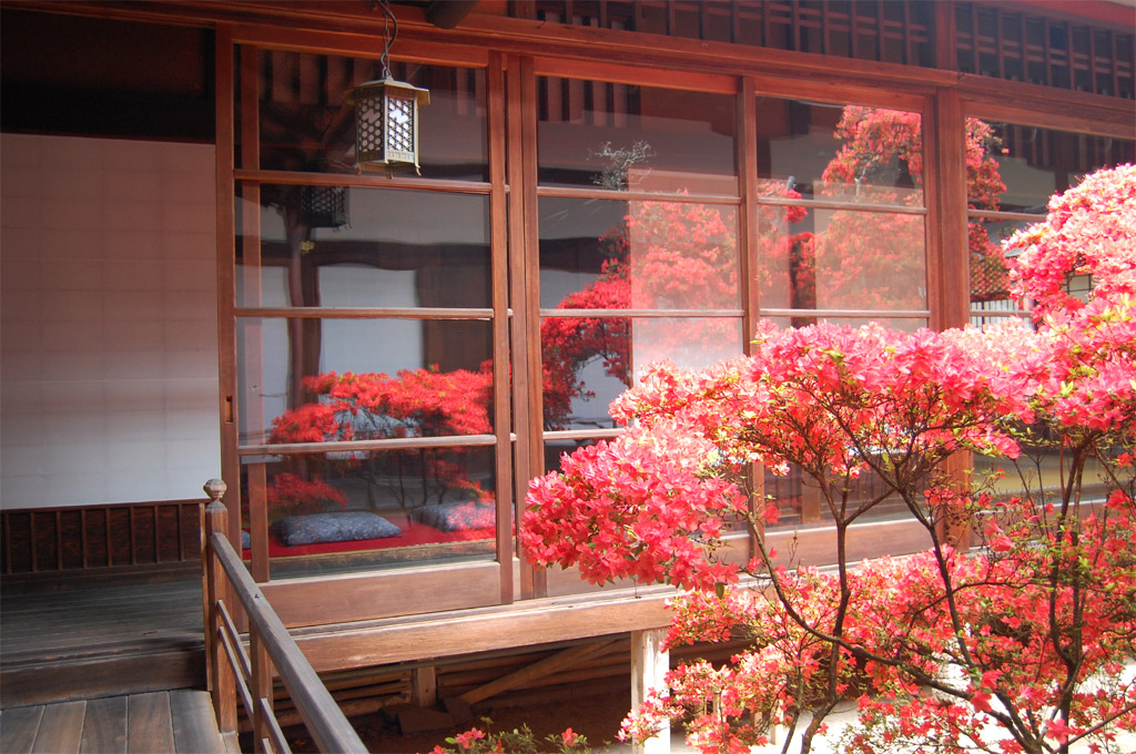 f:id:ReMIST:20191024162409j:plain f:id:ReMIST:20191024162409j:plain