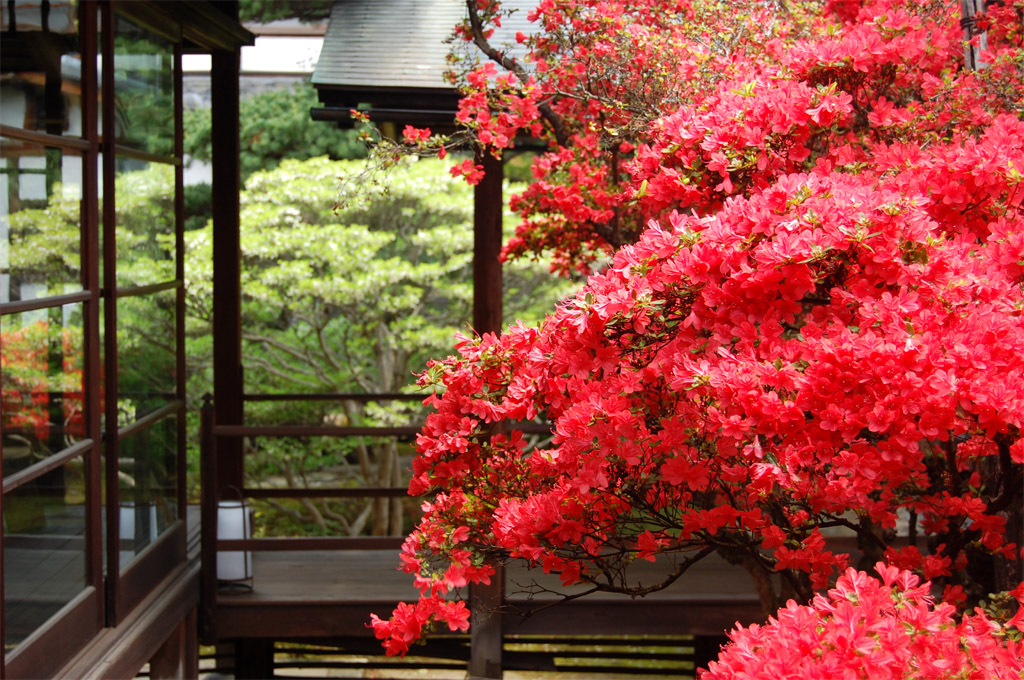 f:id:ReMIST:20191024162535j:plain f:id:ReMIST:20191024162535j:plain