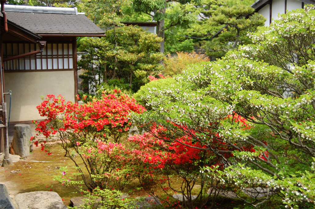 f:id:ReMIST:20191024180107j:plain f:id:ReMIST:20191024180107j:plain