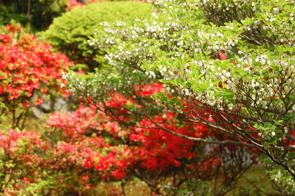 f:id:ReMIST:20191024180124j:plain f:id:ReMIST:20191024180124j:plain