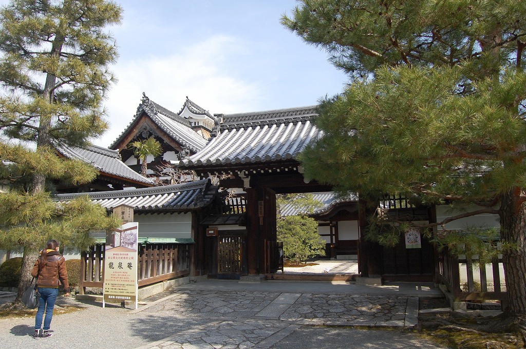 f:id:ReMIST:20191104034905j:plain f:id:ReMIST:20191104034905j:plain