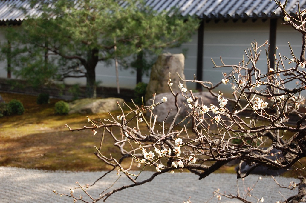 f:id:ReMIST:20191104041656j:plain f:id:ReMIST:20191104041656j:plain