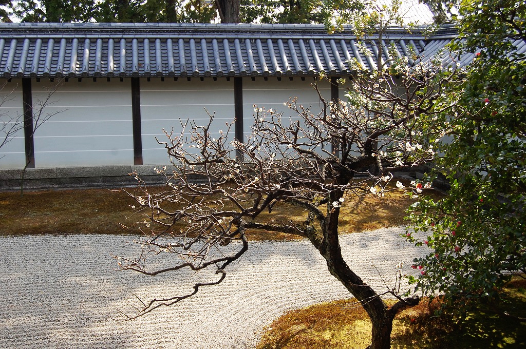 f:id:ReMIST:20191104041902j:plain f:id:ReMIST:20191104041902j:plain