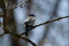 f:id:ReRa:20130519164501j:image