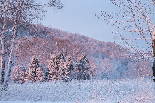 f:id:ReRa:20180212100926j:image