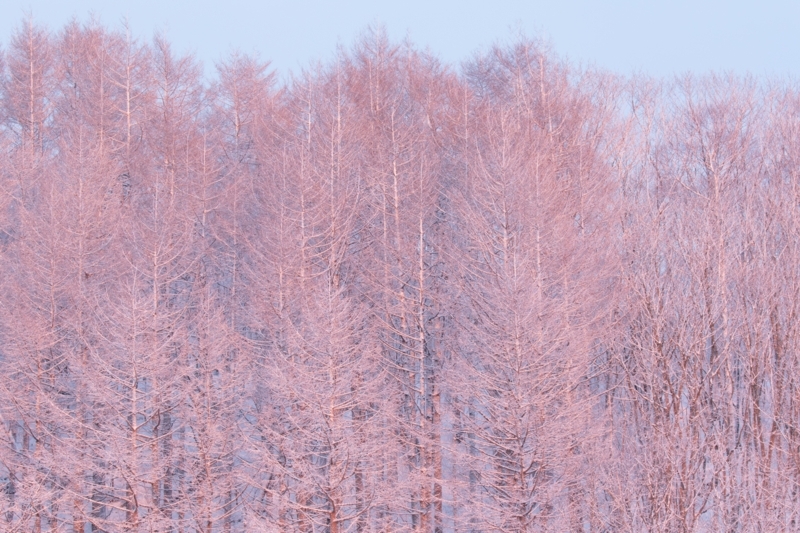 f:id:ReRa:20180212100929j:image