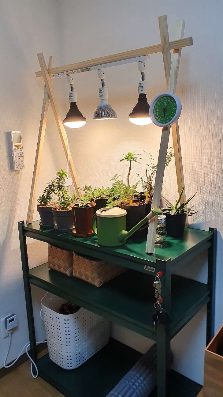 ⌘shin様専用⌘ライトレールスタンド、植物スタンド レール0.5 幅70