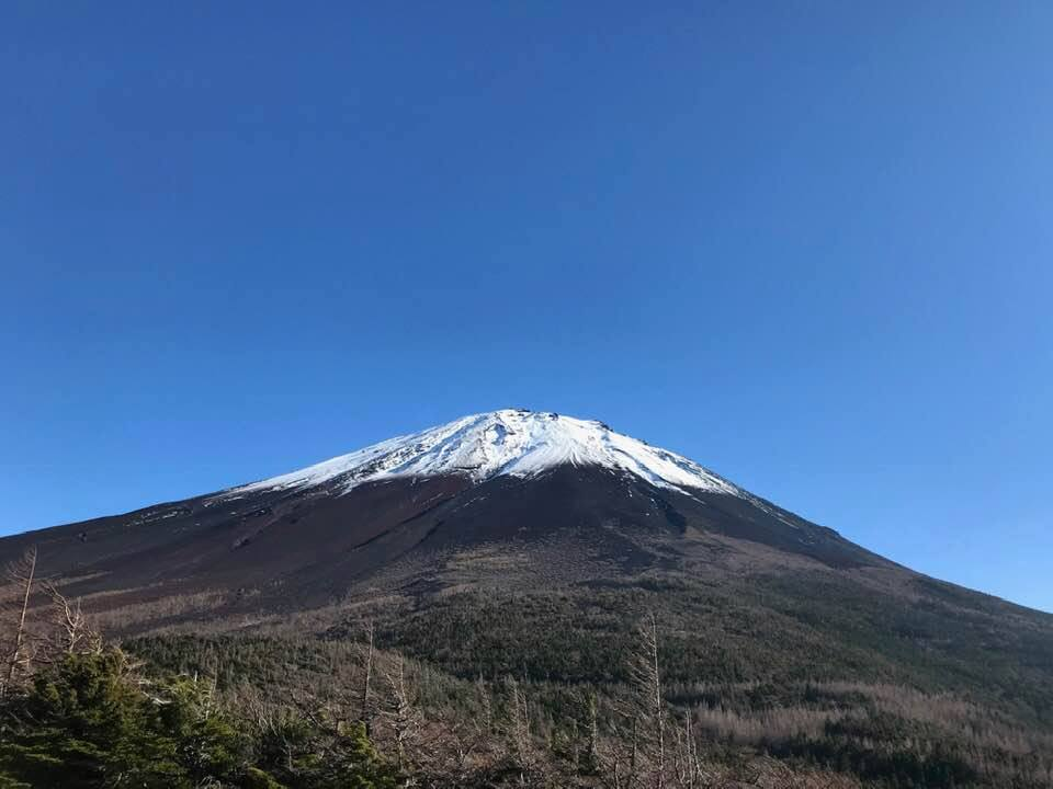 f:id:Re_Connection:20181115214128p:plain