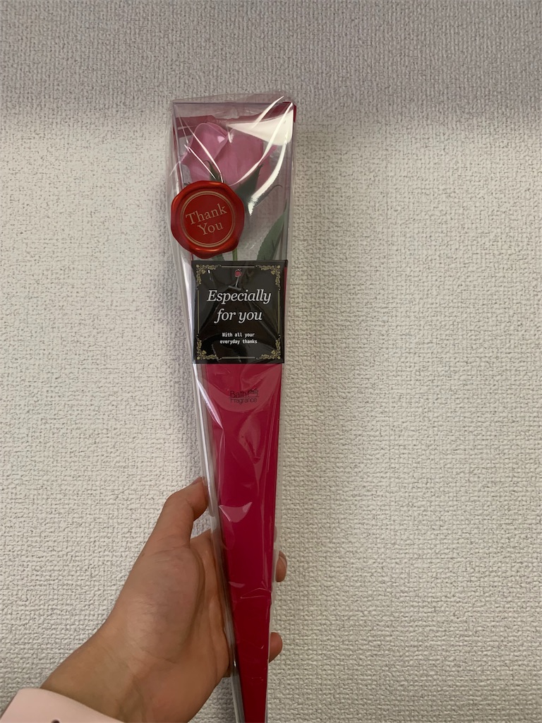 f:id:Re_hirose:20190512150853j:image f:id:Re_hirose:20190512150853j:image