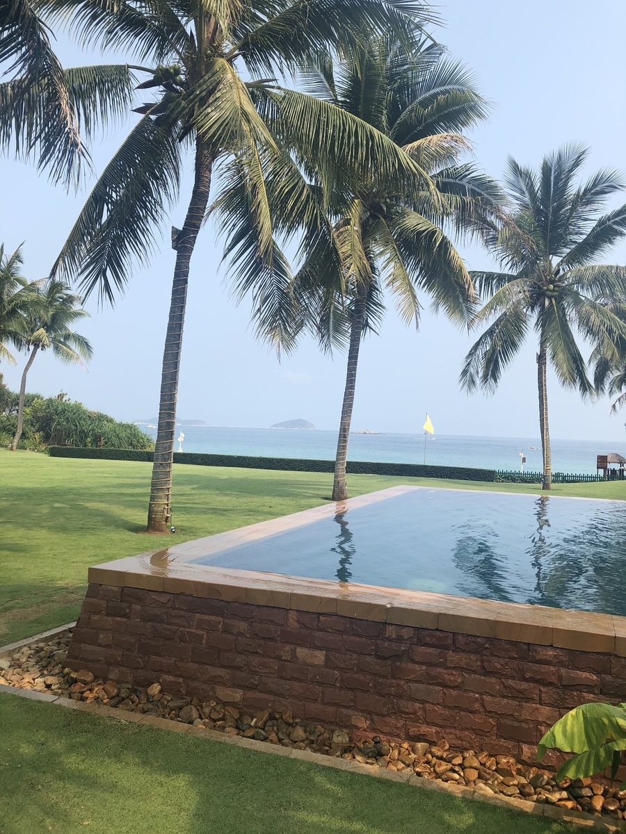 f:id:Rebecca_92:20190826203831j:plain f:id:Rebecca_92:20190826203831j:plain