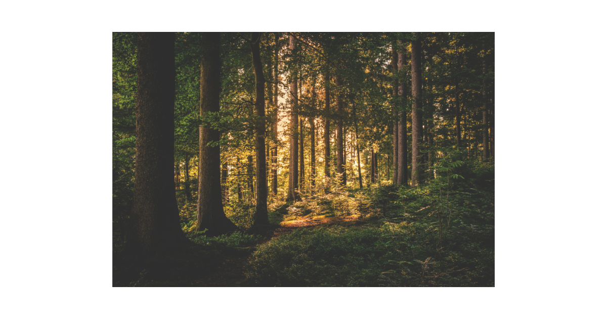 f:id:RecoveryFromDepression:20210507002712p:plain