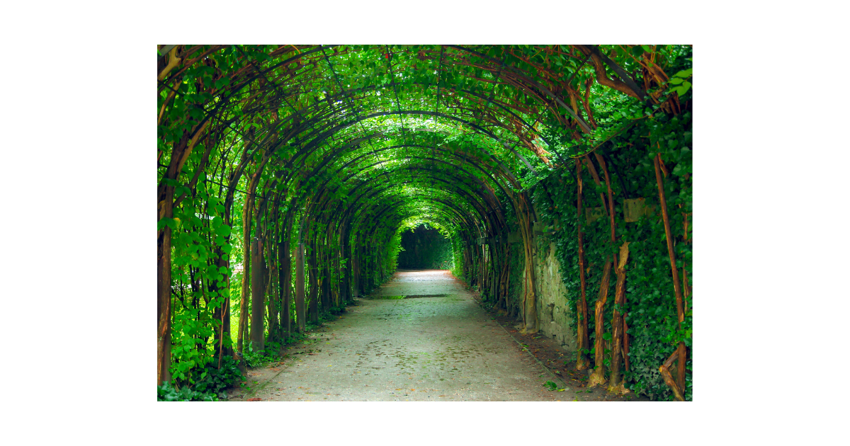 f:id:RecoveryFromDepression:20210510160549p:plain