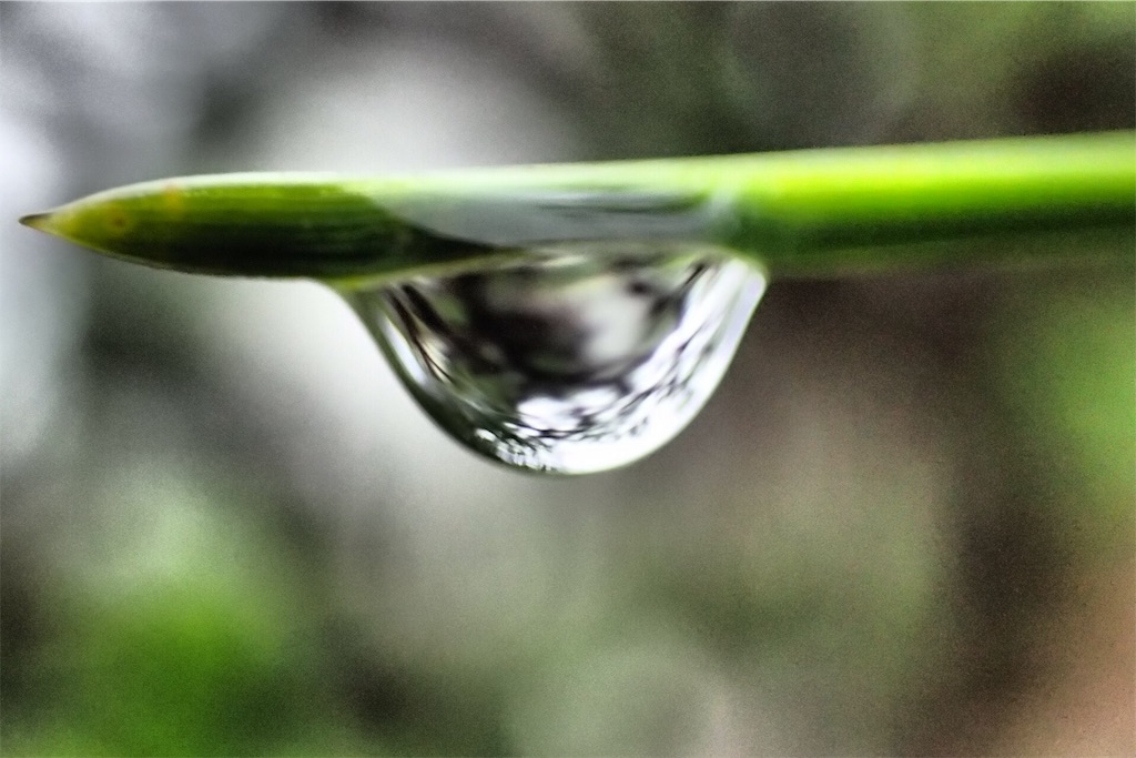 f:id:Recuerdo:20180608214200j:image