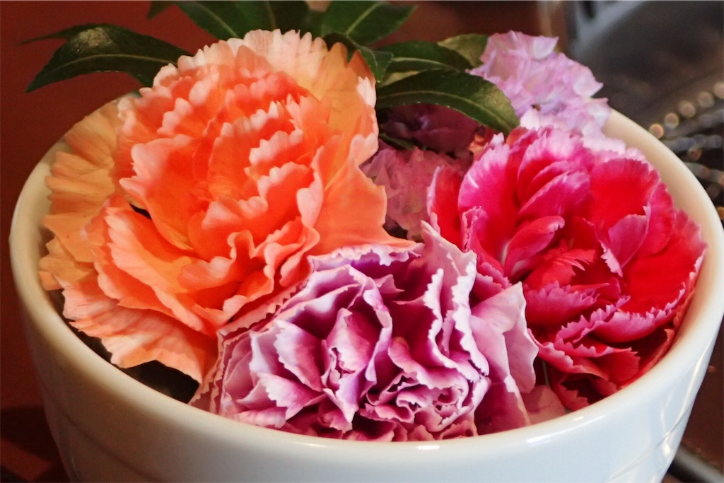 f:id:Recuerdo:20180610204513j:image