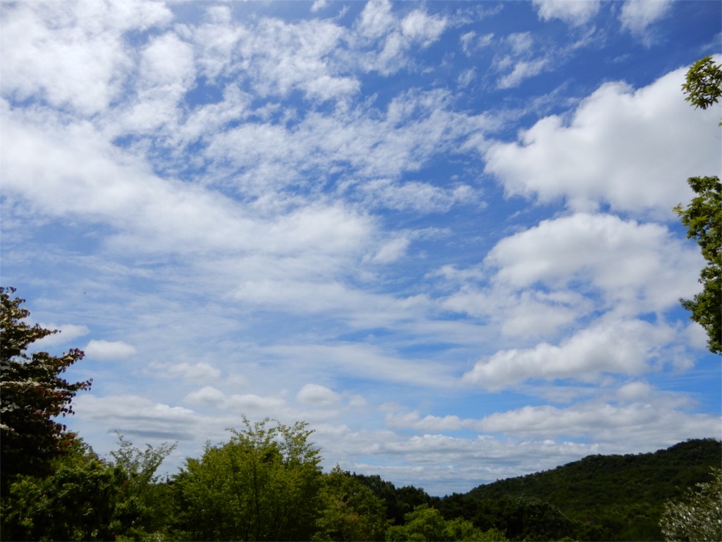 f:id:Recuerdo:20180618202029j:image