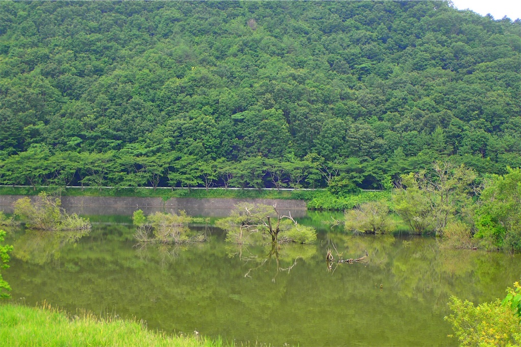 f:id:Recuerdo:20180622221800j:image