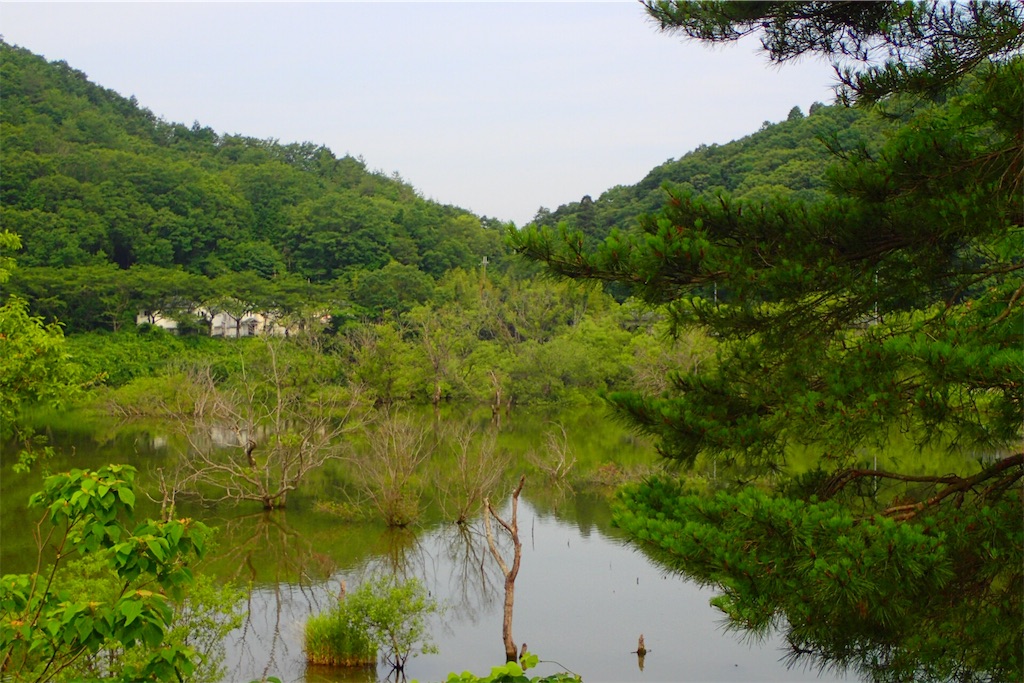 f:id:Recuerdo:20180622221809j:image