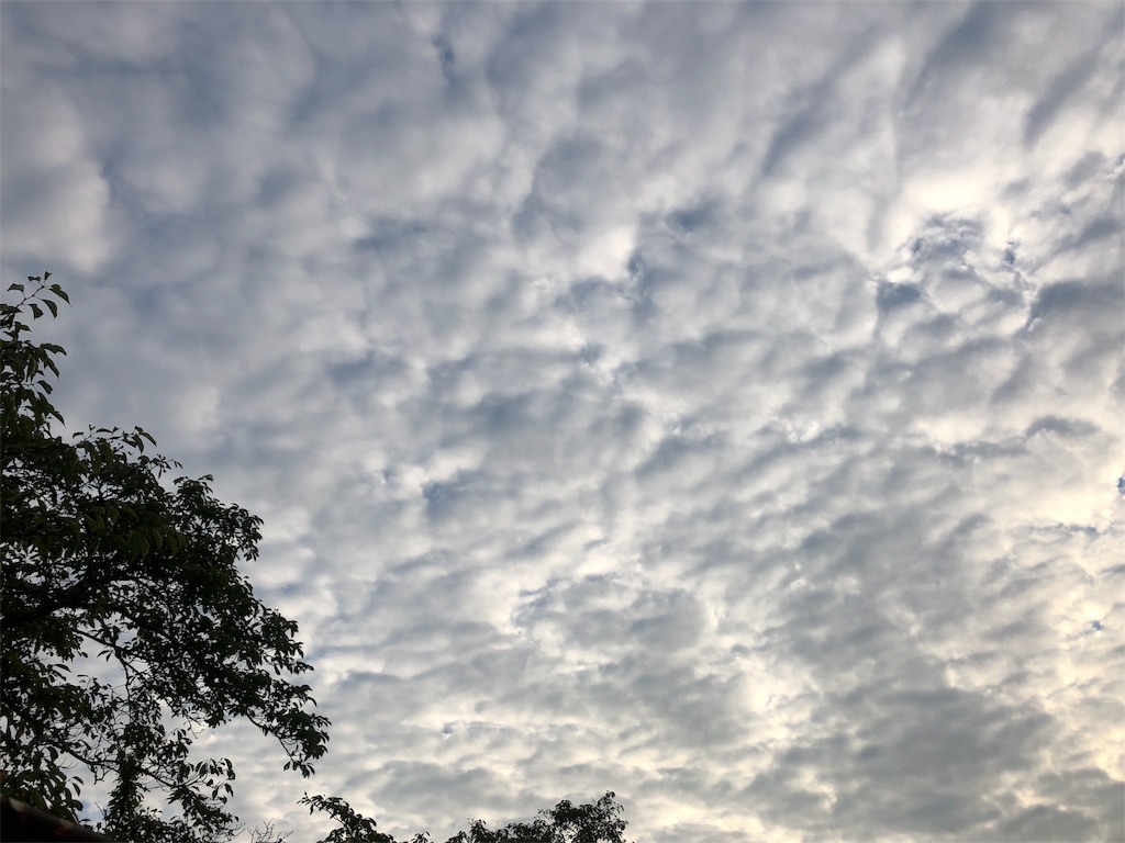 f:id:Recuerdo:20180920003945j:image