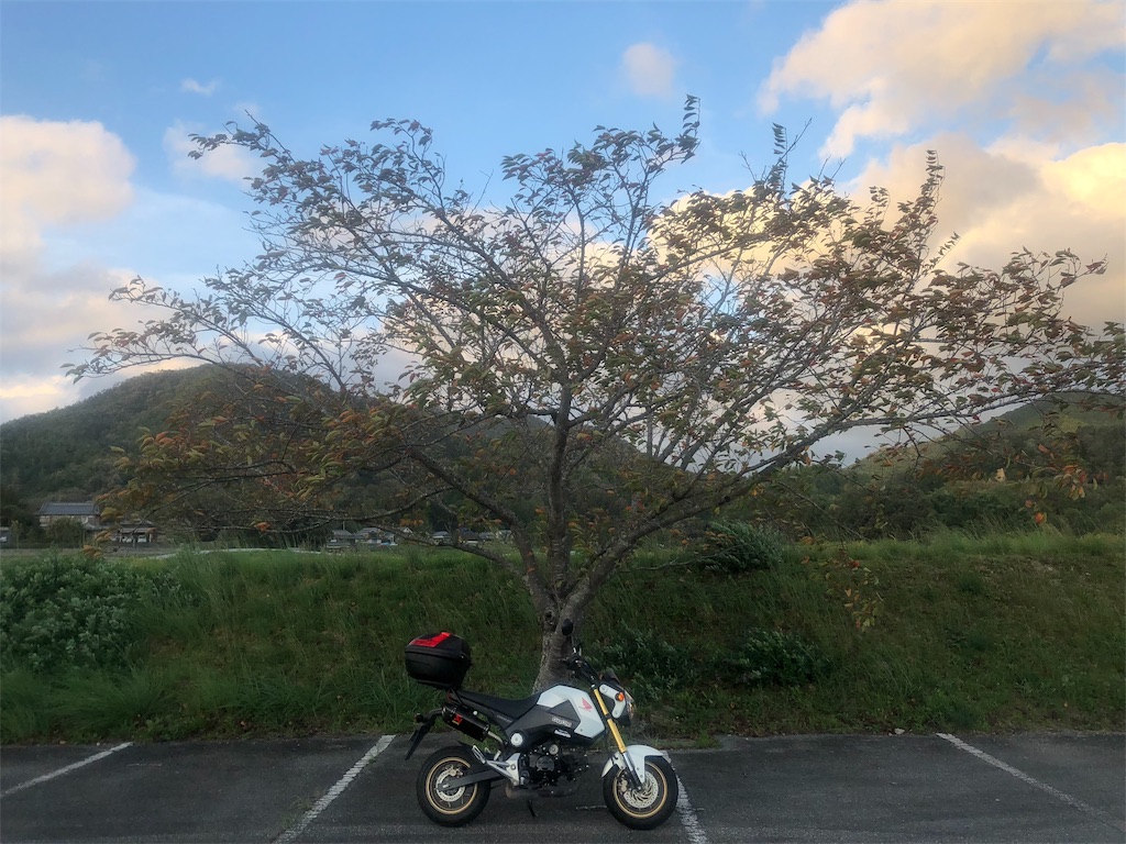f:id:Recuerdo:20181006203906j:image