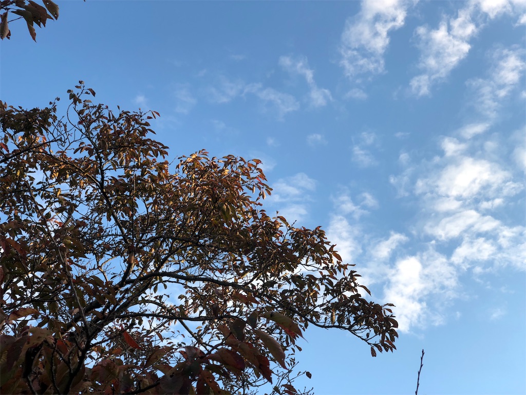 f:id:Recuerdo:20181028232412j:image f:id:Recuerdo:20181028232412j:image