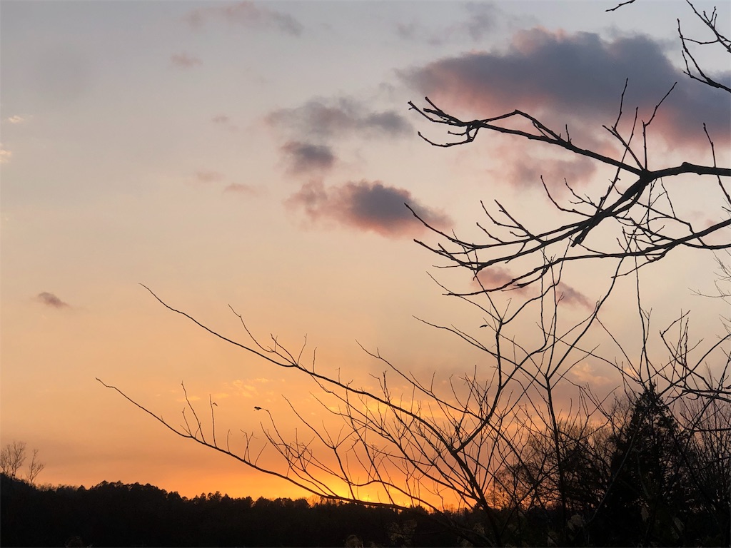 f:id:Recuerdo:20190210232007j:image