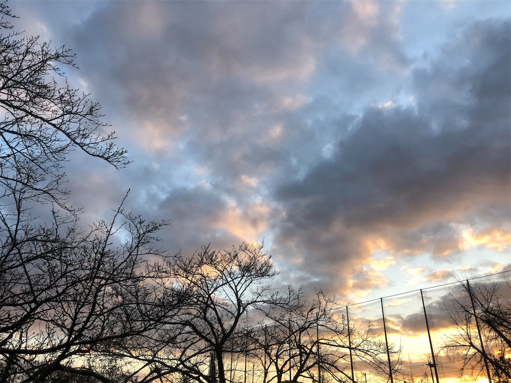 f:id:Recuerdo:20190308201757j:image