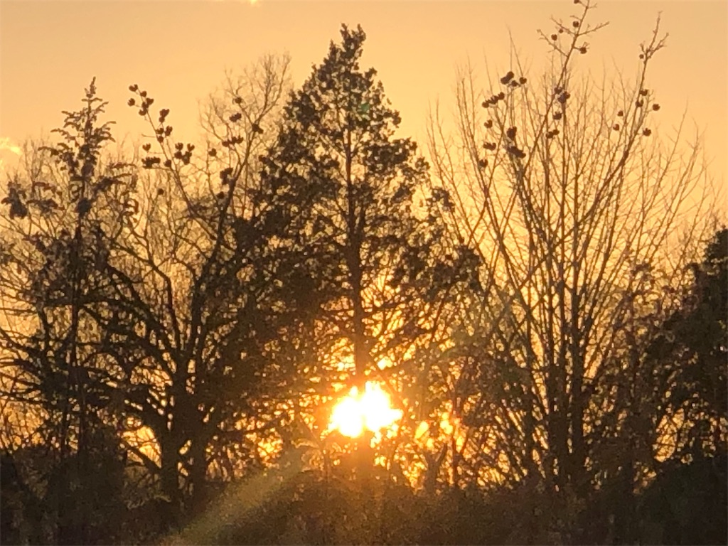 f:id:Recuerdo:20190313195858j:image