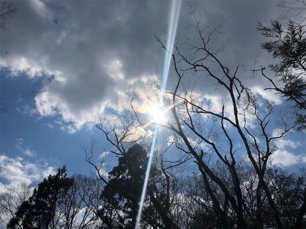 f:id:Recuerdo:20190403193342j:image