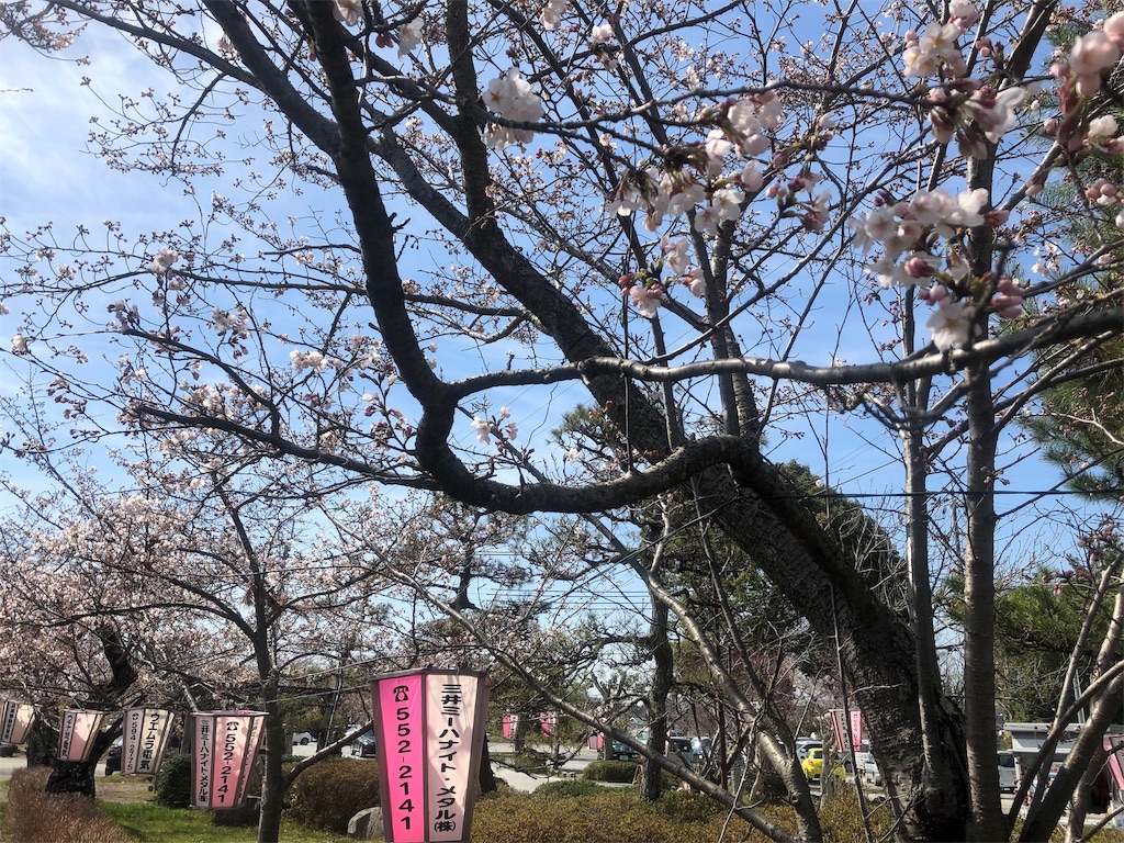f:id:Recuerdo:20190405200144j:image