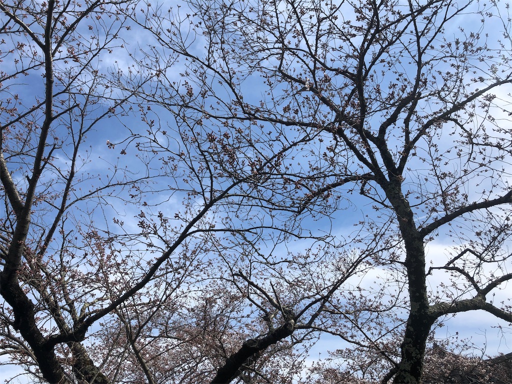 f:id:Recuerdo:20190405200148j:image