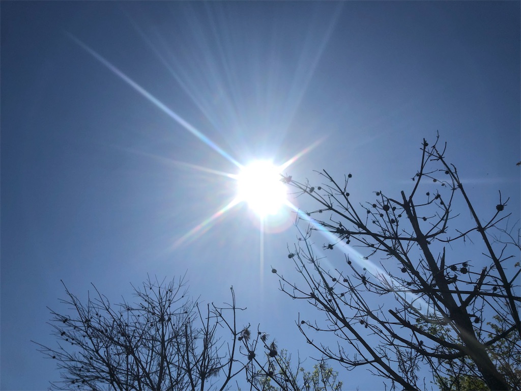 f:id:Recuerdo:20190504213246j:image f:id:Recuerdo:20190504213246j:image
