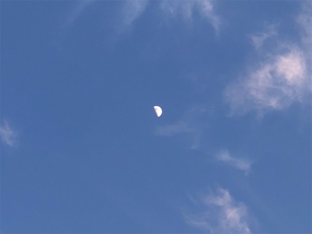 f:id:Recuerdo:20190512195138j:image