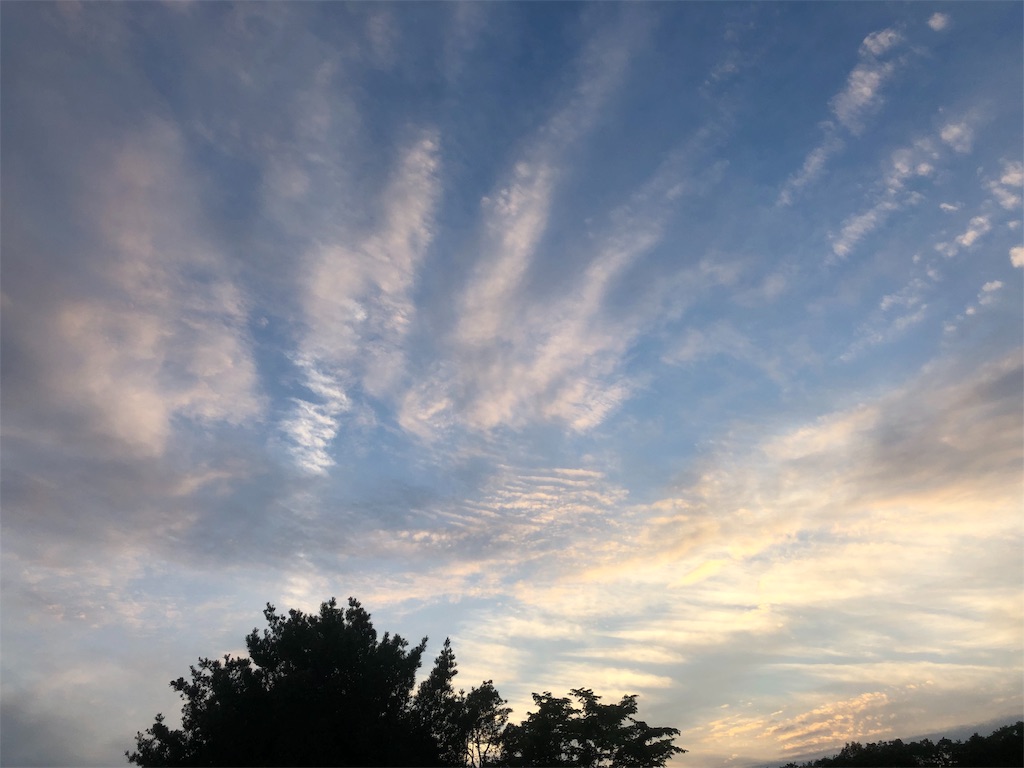 f:id:Recuerdo:20190601212452j:image