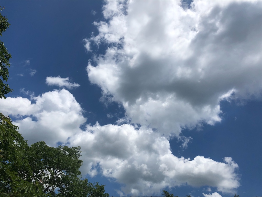 f:id:Recuerdo:20190624123042j:image