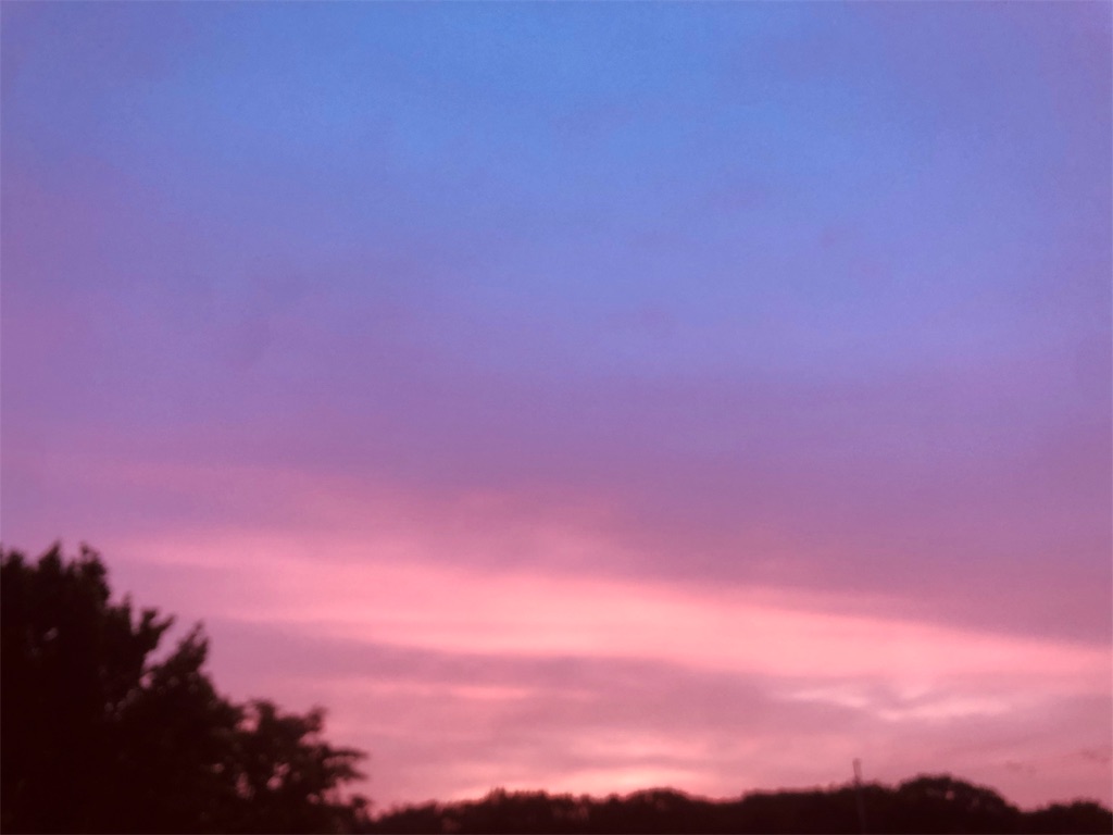 f:id:Recuerdo:20190702194529j:image